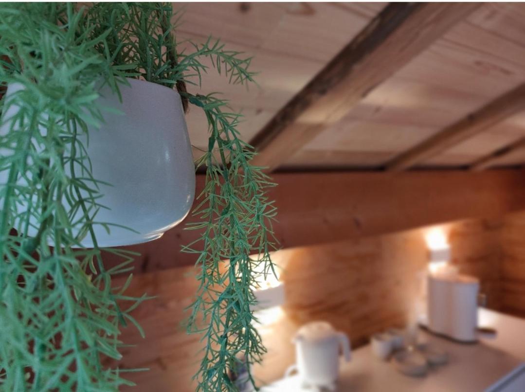 Chambre Boille A Lait Entremont Zewnętrze zdjęcie