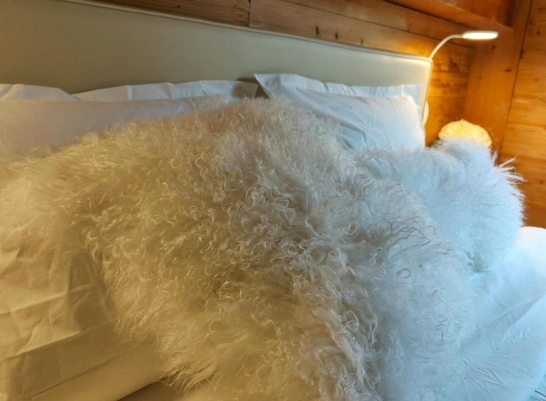 Chambre Boille A Lait Entremont Zewnętrze zdjęcie